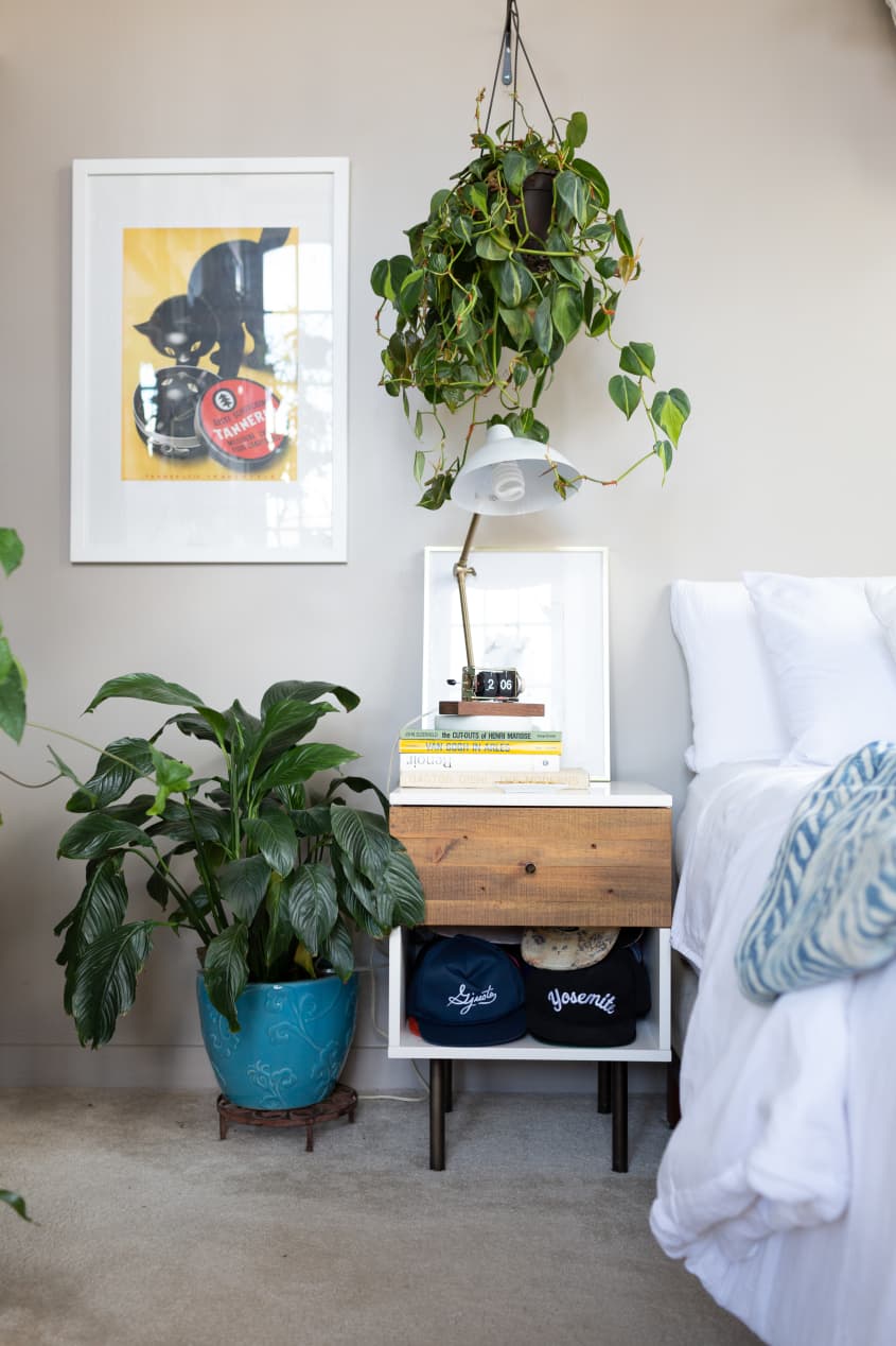 Hilton Carter Plant Doctor Industrial Loft Home Photos Apartment Therapy